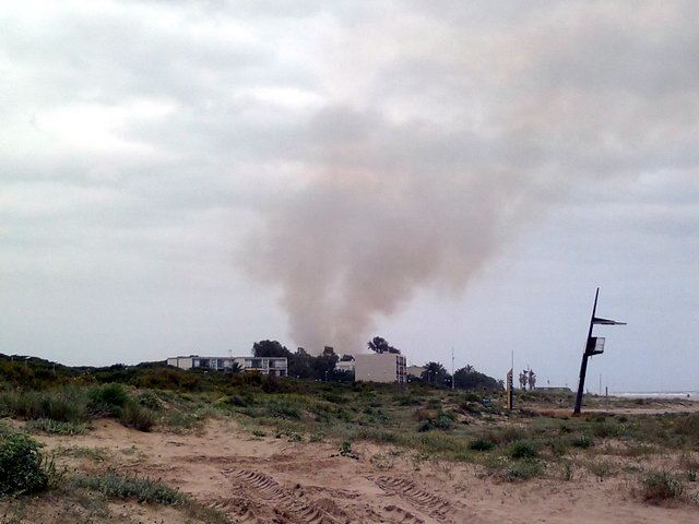 Vista del incendio de la pineda de Llevant Mar desde la playa de Gav� Mar, a la altura del Kauai (19 Mayo 2012)